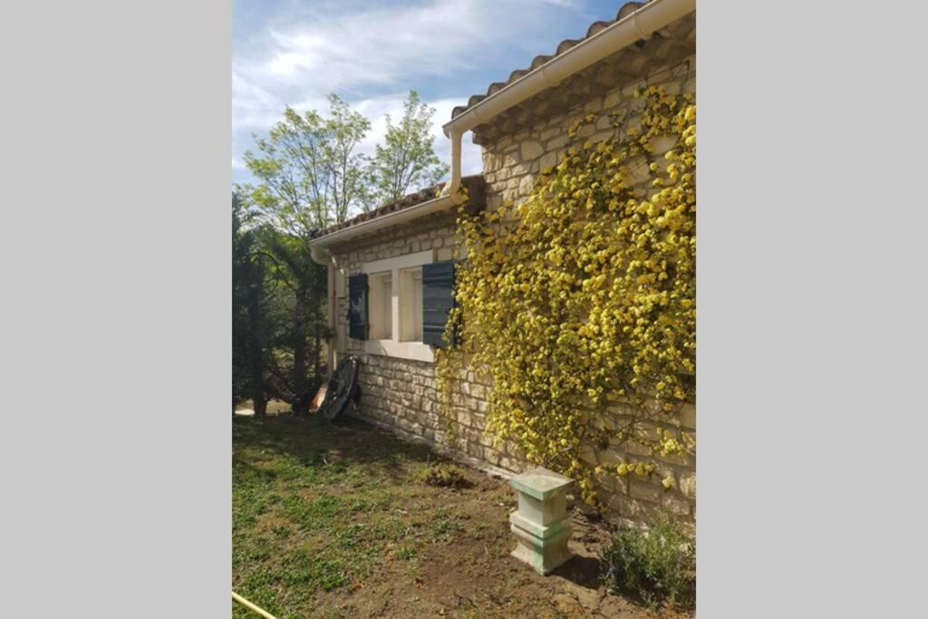 Appartement 2 Pers Avec Acces Piscine Saint-Rémy-de-Provence Екстериор снимка